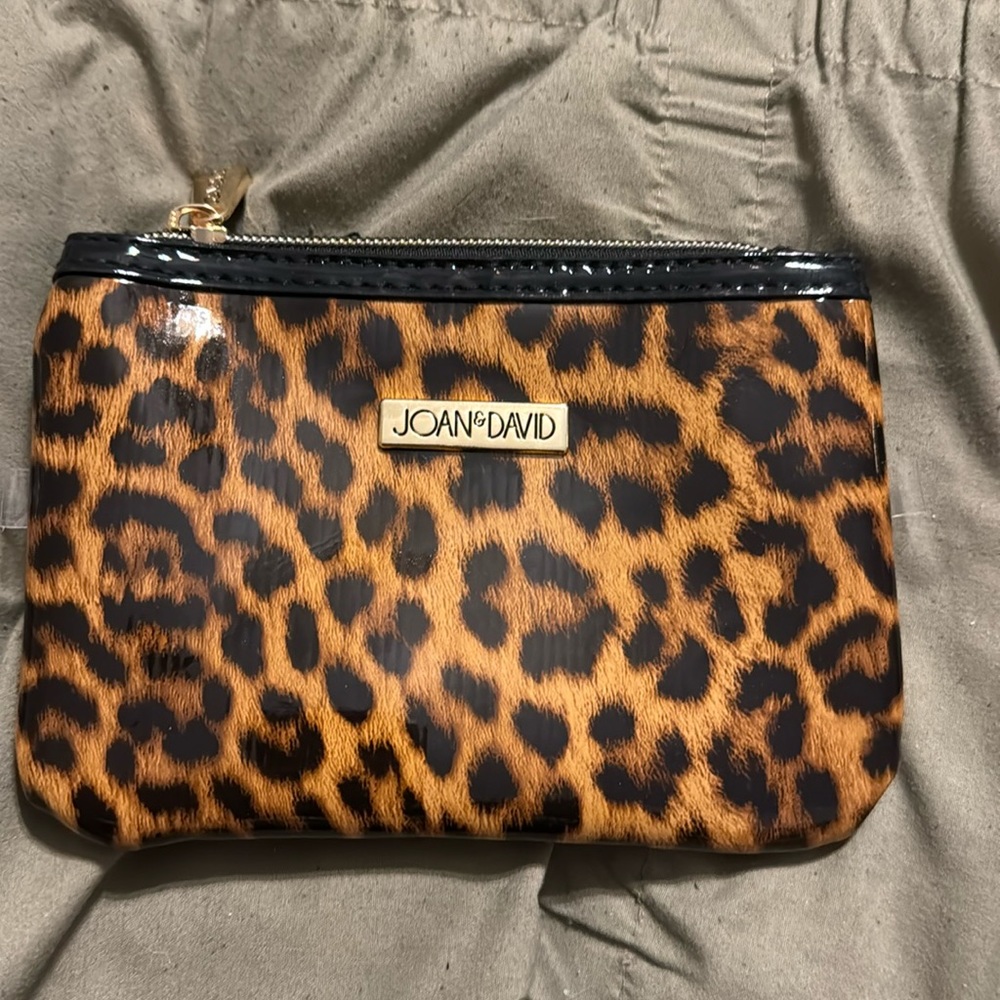 Makeup or money bag